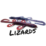 Lizards