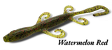 Lizards