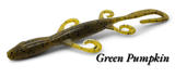 Lizards